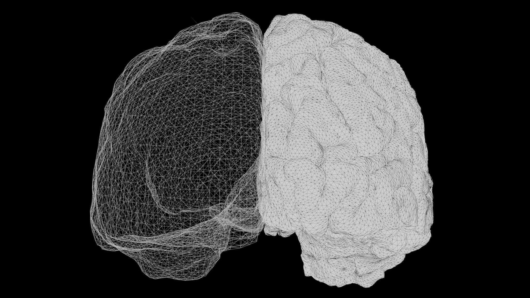 Featured image for “Humipedia Academy Launch | The AI Encyclopedia for Humans and Healthcare Goes Live”